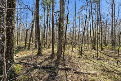 Absolutely stunning property located in Deerfield Landing! The - photo 20