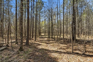 Absolutely stunning property located in Deerfield Landing! The - photo 23