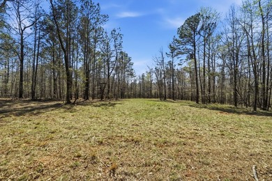 Absolutely stunning property located in Deerfield Landing! The - photo 27