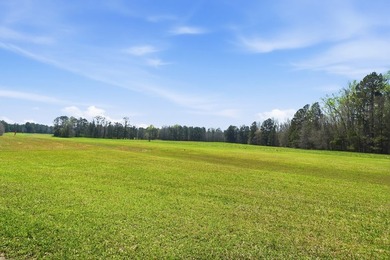 Absolutely stunning property located in Deerfield Landing! The - photo 28
