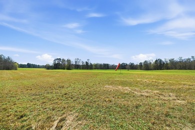 Absolutely stunning property located in Deerfield Landing! The - photo 31