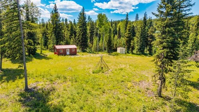 Flathead River Acreage For Sale in Polebridge Montana