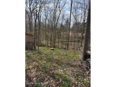 Land for sale - photo 6