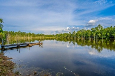 Lake Home For Sale in Holt, Florida