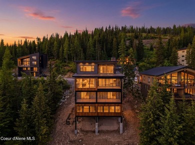 This brand new, never lived, in home commands one of Schweitzer - photo 1