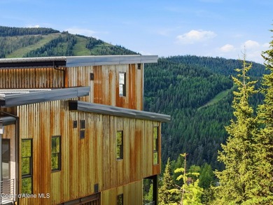 This brand new, never lived, in home commands one of Schweitzer - photo 5
