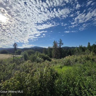 Best Value 20 Acres on Harrison Flats - No HOA or CC&RsEnjoy - photo 1