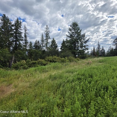 Best Value 20 Acres on Harrison Flats - No HOA or CC&RsEnjoy - photo 5