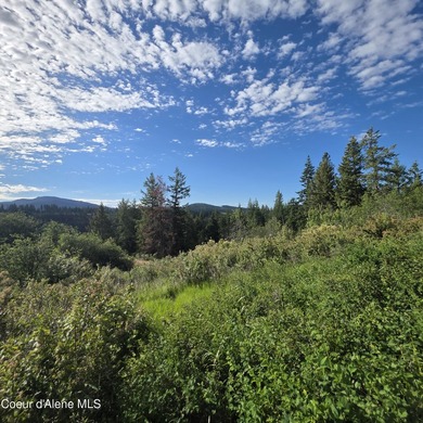 Best Value 20 Acres on Harrison Flats - No HOA or CC&RsEnjoy - photo 8