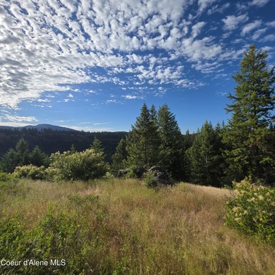 Best Value 20 Acres on Harrison Flats - No HOA or CC&RsEnjoy - photo 10