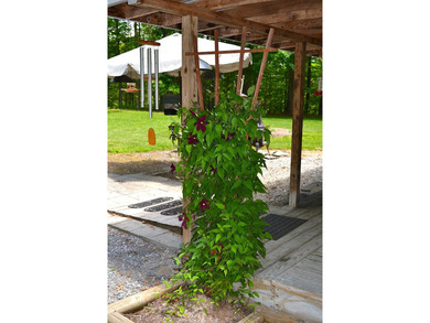 Nestled in the woods on a peaceful 3.169-acre lot, this inviting - photo 16