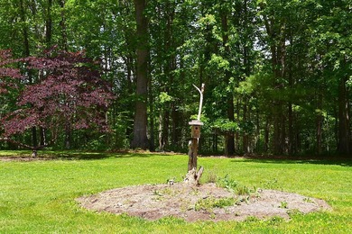 Nestled in the woods on a peaceful 3.169-acre lot, this inviting - photo 18