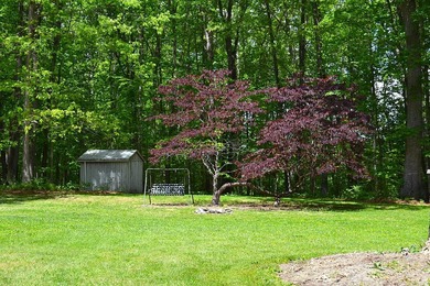 Nestled in the woods on a peaceful 3.169-acre lot, this inviting - photo 19