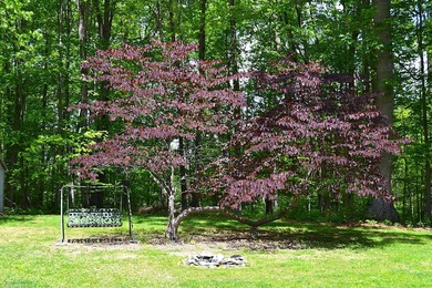 Nestled in the woods on a peaceful 3.169-acre lot, this inviting - photo 20