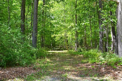 Nestled in the woods on a peaceful 3.169-acre lot, this inviting - photo 25