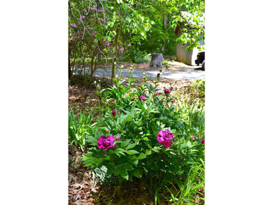 Nestled in the woods on a peaceful 3.169-acre lot, this inviting - photo 26