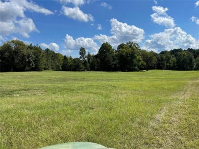 Lake Acreage For Sale in Marietta, Texas