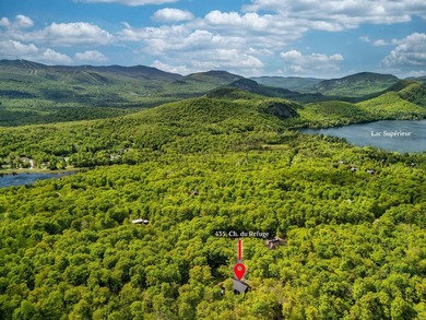 An exceptional opportunity awaits you to own this magnificent - photo 47