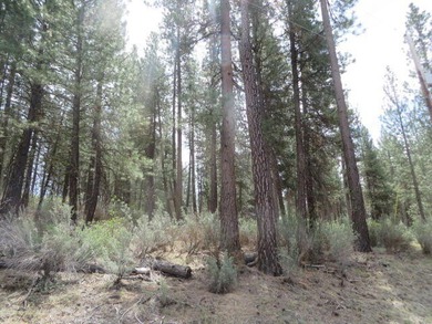 Sprague River Lot For Sale in Chiloquin Oregon