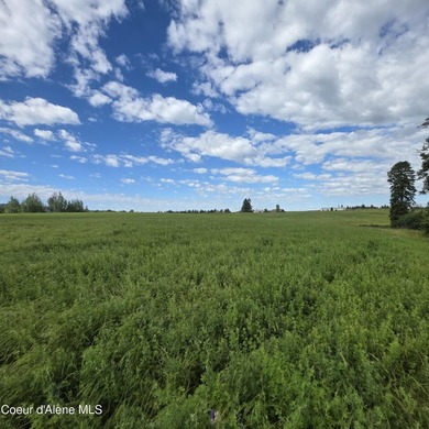 This exceptional 20-acre partially treed parcel on Harrison - photo 3