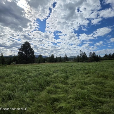 This exceptional 20-acre partially treed parcel on Harrison - photo 4