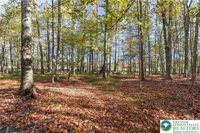 Lake Wallenpaupack Lot For Sale in Lake Ariel Pennsylvania