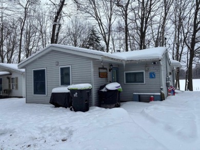 Lake Home For Sale in Gladwin, Michigan