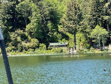 WATERFRONT ADVENTURE AWAITS ON SILTCOOS LAKE Ready to trade the - photo 40