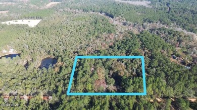 Lake Home Sale Pending in Vernon, Florida