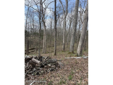Land for sale - photo 5