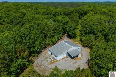 Secluded property on Bailey Cemetery Rd. in New Concord, KY - photo 12
