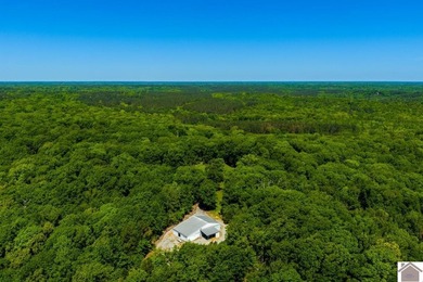 Secluded property on Bailey Cemetery Rd. in New Concord, KY - photo 13