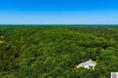 Secluded property on Bailey Cemetery Rd. in New Concord, KY - photo 14