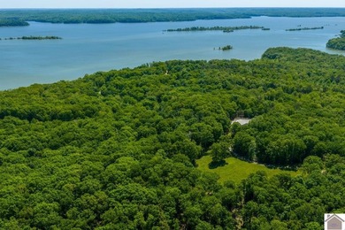 Secluded property on Bailey Cemetery Rd. in New Concord, KY - photo 15