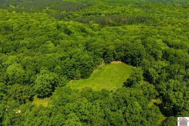 Secluded property on Bailey Cemetery Rd. in New Concord, KY - photo 17
