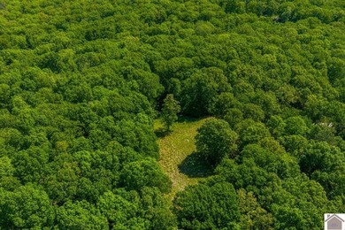 Secluded property on Bailey Cemetery Rd. in New Concord, KY - photo 18