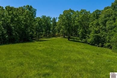 Secluded property on Bailey Cemetery Rd. in New Concord, KY - photo 28