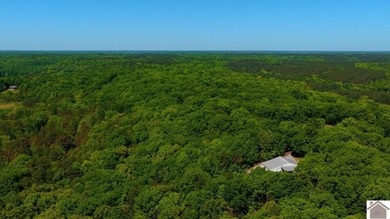 Secluded property on Bailey Cemetery Rd. in New Concord, KY - photo 30