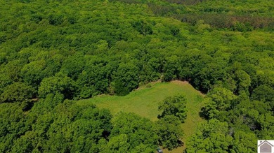 Secluded property on Bailey Cemetery Rd. in New Concord, KY - photo 31