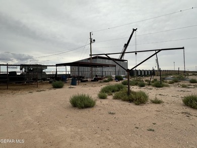 CHOOSIN TEXAS,no crystal ball needed to see and know this is it - photo 36