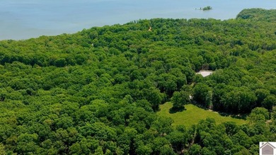Secluded property on Bailey Cemetery Rd. in New Concord, KY - photo 36
