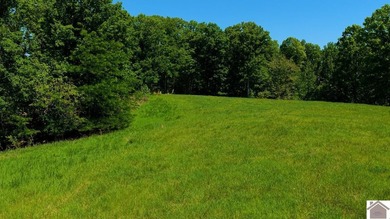 Secluded property on Bailey Cemetery Rd. in New Concord, KY - photo 38