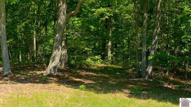 Secluded property on Bailey Cemetery Rd. in New Concord, KY - photo 39