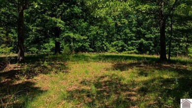 Secluded property on Bailey Cemetery Rd. in New Concord, KY - photo 40