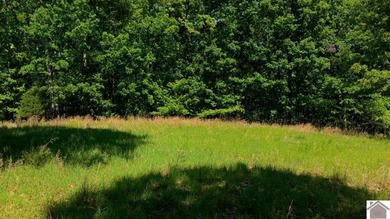 Secluded property on Bailey Cemetery Rd. in New Concord, KY - photo 41