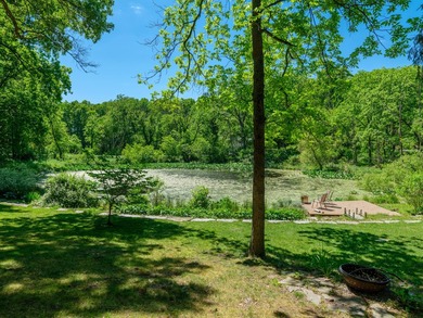 Custom contemporary, three level home nestled into a picturesque - photo 42