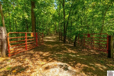 Secluded property on Bailey Cemetery Rd. in New Concord, KY - photo 42