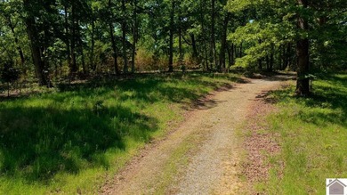 Secluded property on Bailey Cemetery Rd. in New Concord, KY - photo 43