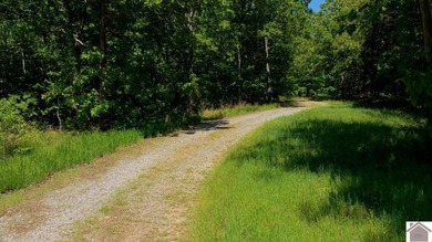 Secluded property on Bailey Cemetery Rd. in New Concord, KY - photo 44