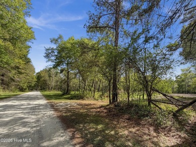 (private lake, pond, coastal) Acreage For Sale in Chinquapin North Carolina